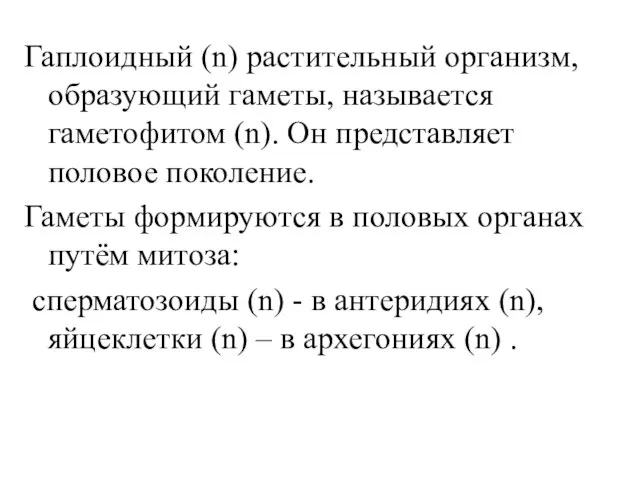 Гаплоидный (n) растительный организм, образующий гаметы, называется гаметофитом (n). Он представляет