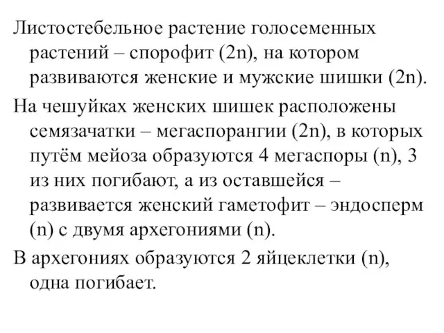 Листостебельное растение голосеменных растений – спорофит (2n), на котором развиваются женские