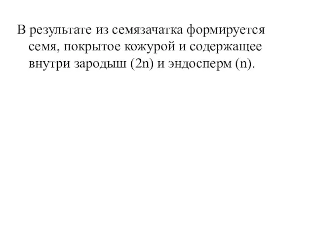 В результате из семязачатка формируется семя, покрытое кожурой и содержащее внутри зародыш (2n) и эндосперм (n).