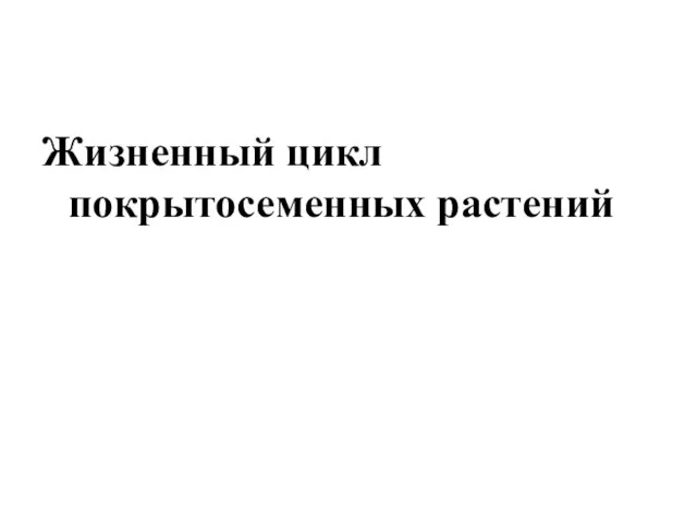 Жизненный цикл покрытосеменных растений