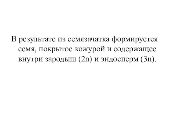 В результате из семязачатка формируется семя, покрытое кожурой и содержащее внутри зародыш (2n) и эндосперм (3n).