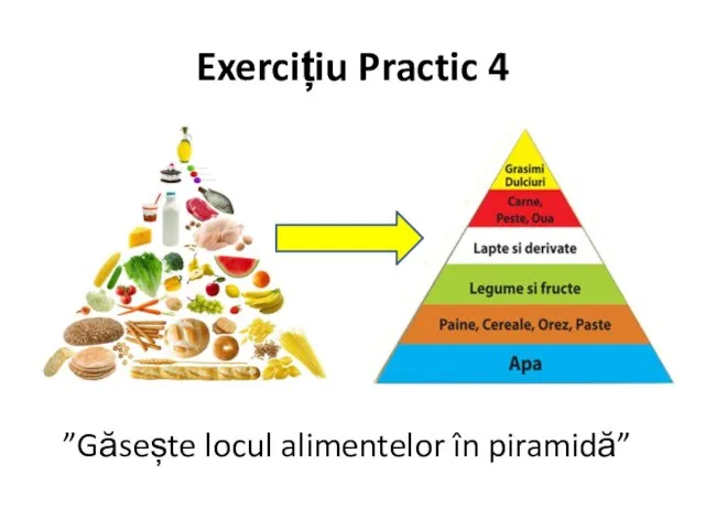 Exercițiu Practic 4 ”Găsește locul alimentelor în piramidă”