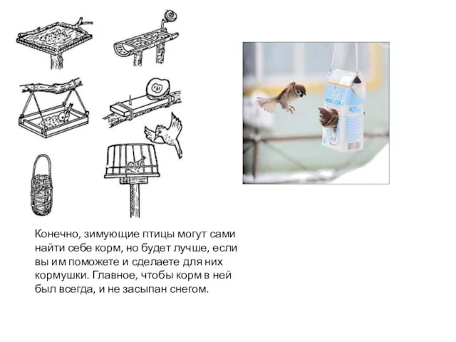 Конечно, зимующие птицы могут сами найти себе корм, но будет лучше,