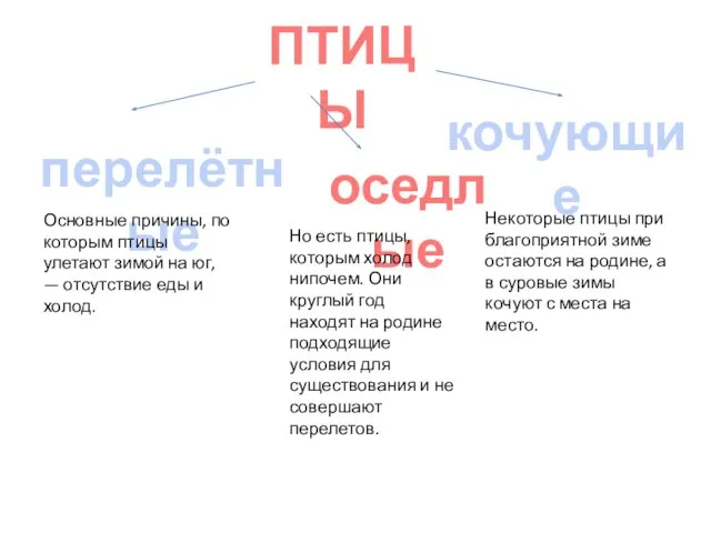 ПТИЦЫ перелётные оседлые кочующие Основные причины, по которым птицы улетают зимой