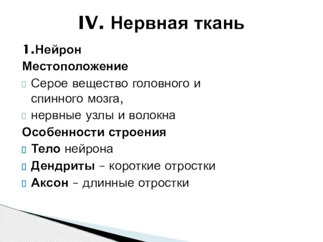 1.Нейрон Местоположение Серое вещество головного и спинного мозга, нервные узлы и