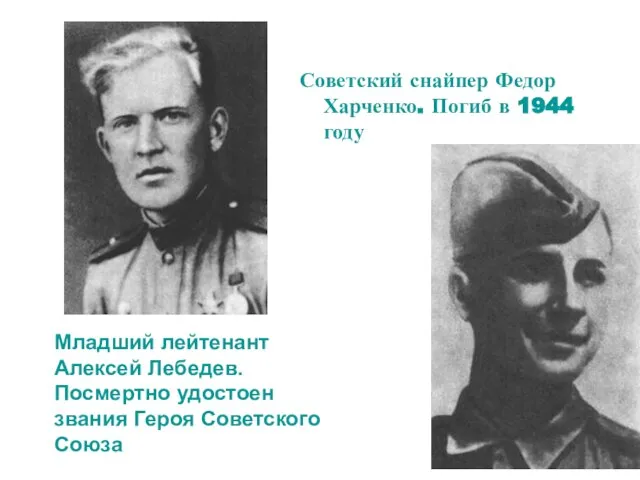 Советский снайпер Федор Харченко. Погиб в 1944 году Младший лейтенант Алексей