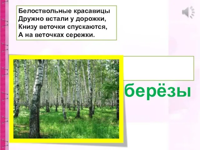 Белоствольные красавицы Дружно встали у дорожки, Книзу веточки спускаются, А на веточках сережки. берёзы