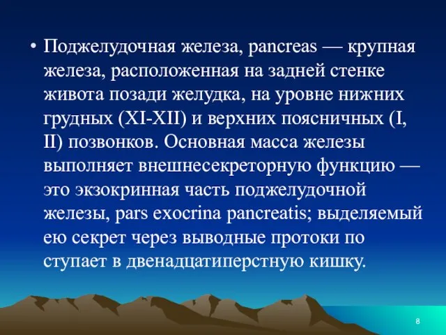 Поджелудочная железа, pancreas — крупная железа, расположенная на задней стенке живота