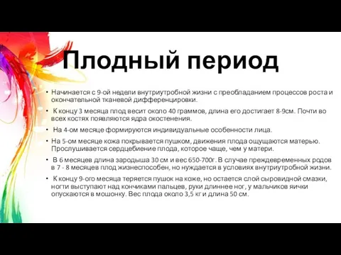 Плодный период Начинается с 9-ой недели внутриутробной жизни с преобладанием процессов