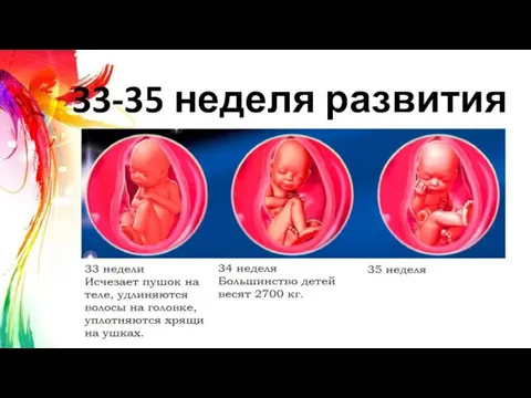 33-35 неделя развития