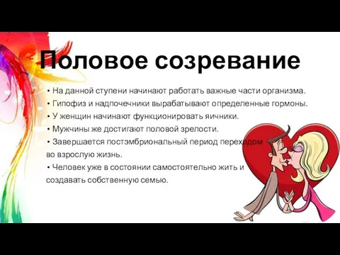 Половое созревание На данной ступени начинают работать важные части организма. Гипофиз