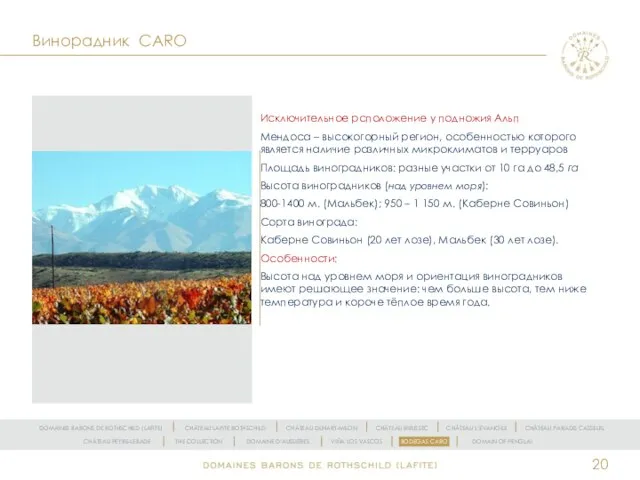 Винорадник CARO Исключительное рсположение у подножия Альп Мендоса – высокогорный регион,
