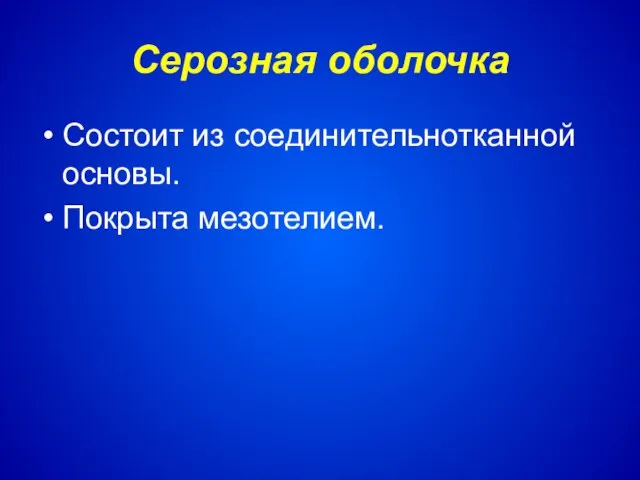 Серозная оболочка Состоит из соединительнотканной основы. Покрыта мезотелием.