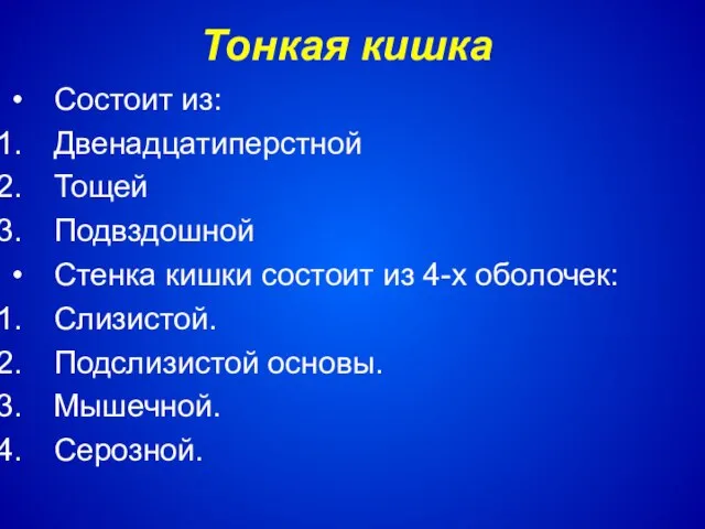 Тонкая кишка Состоит из: Двенадцатиперстной Тощей Подвздошной Стенка кишки состоит из