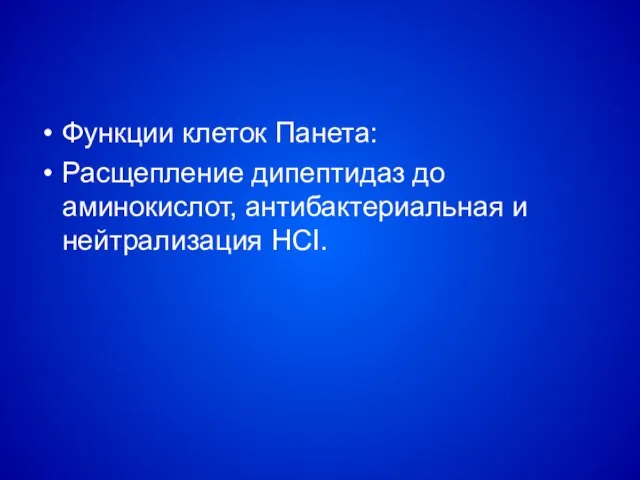 Функции клеток Панета: Расщепление дипептидаз до аминокислот, антибактериальная и нейтрализация НСI.