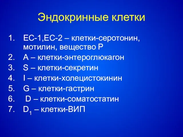 Эндокринные клетки EC-1,ЕС-2 – клетки-серотонин, мотилин, вещество Р А – клетки-энтероглюкагон