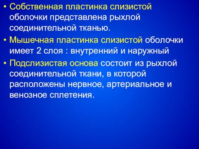 Собственная пластинка слизистой оболочки представлена рыхлой соединительной тканью. Мышечная пластинка слизистой