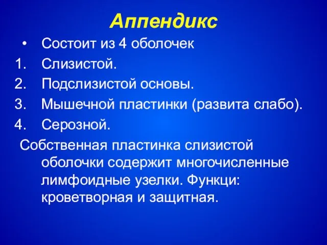 Аппендикс Состоит из 4 оболочек Слизистой. Подслизистой основы. Мышечной пластинки (развита