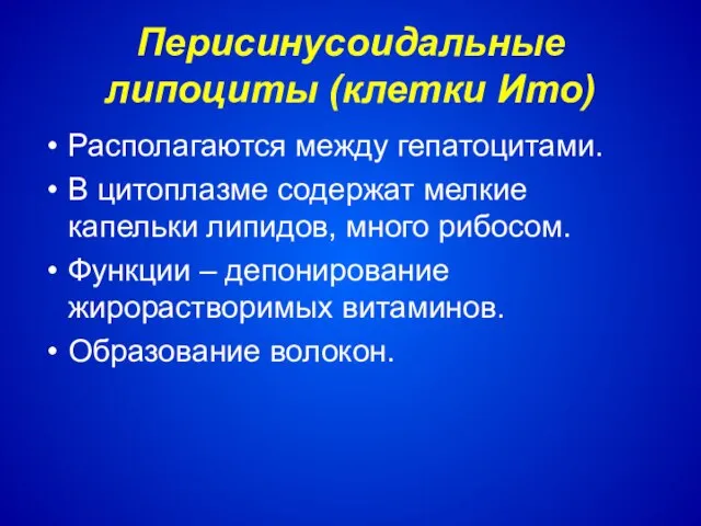 Перисинусоидальные липоциты (клетки Ито) Располагаются между гепатоцитами. В цитоплазме содержат мелкие