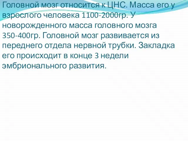 Головной мозг относится к ЦНС. Масса его у взрослого человека 1100-2000гр.