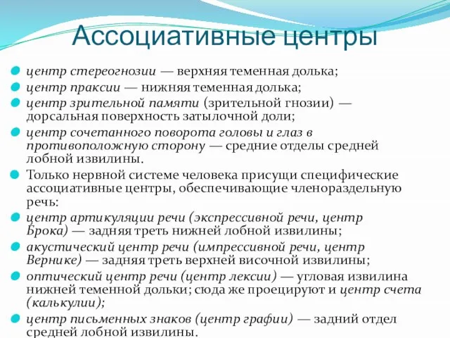 Ассоциативные центры центр стереогнозии — верхняя теменная долька; центр праксии —