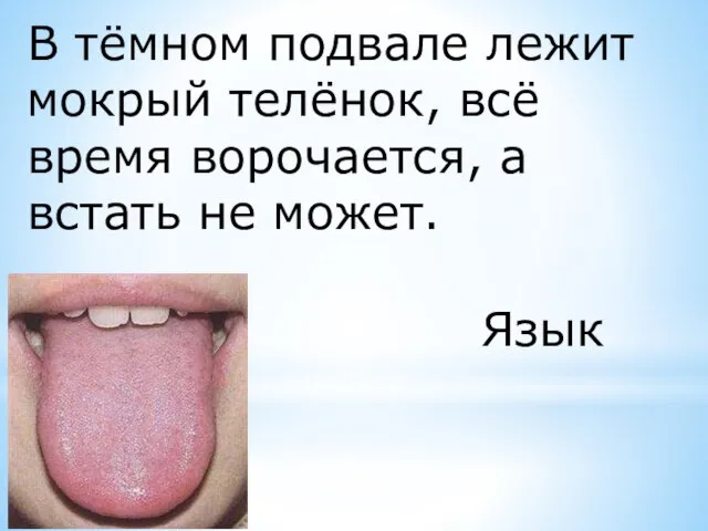 В тёмном подвале лежит мокрый телёнок, всё время ворочается, а встать не может. Язык