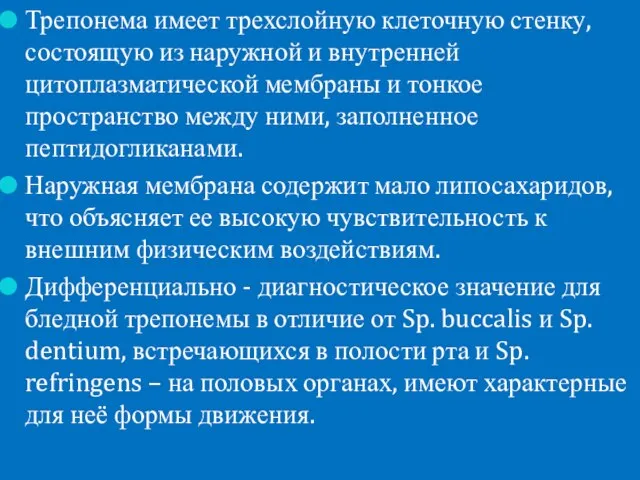 Трепонема имеет трехслойную клеточную стенку, состоящую из наружной и внутренней цитоплазматической