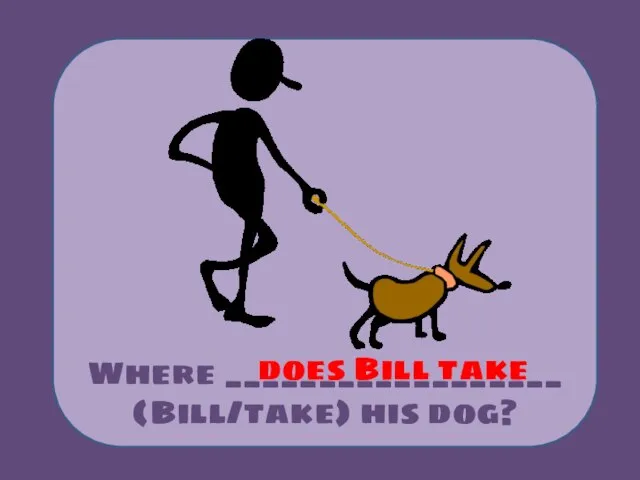 Where __________________ (Bill/take) his dog? does Bill take