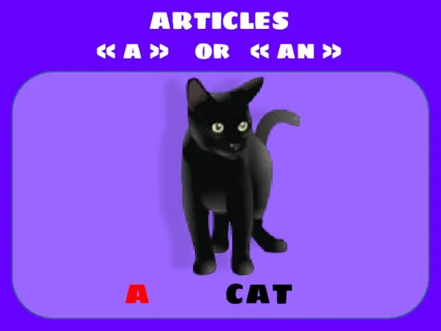 cat ARTICLES « a » or « an » a