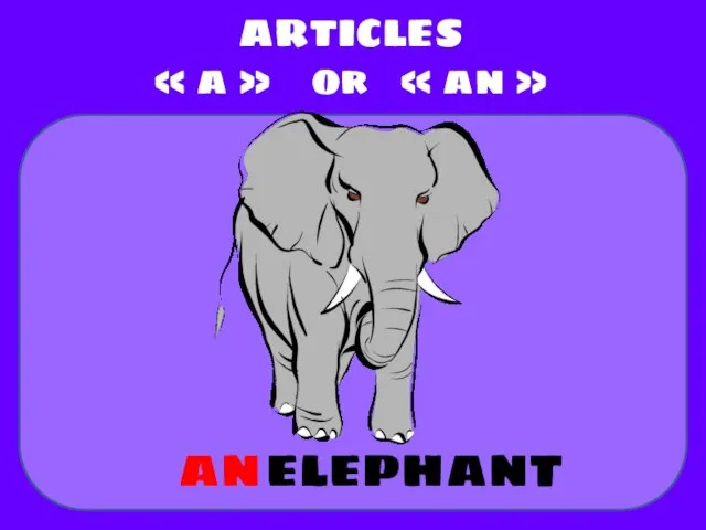 elephant ARTICLES « a » or « an » an