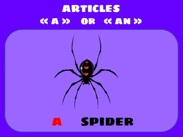 spider ARTICLES « a » or « an » a