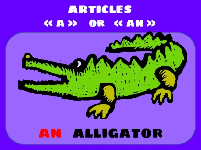 alligator ARTICLES « a » or « an » an