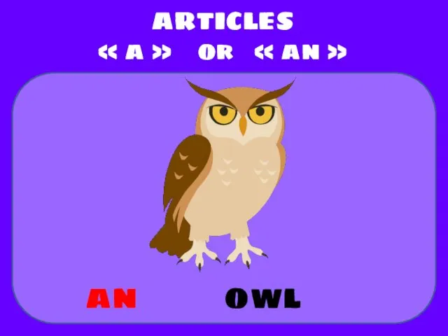 owl ARTICLES « a » or « an » an