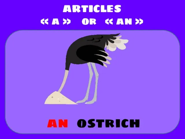 ostrich ARTICLES « a » or « an » an