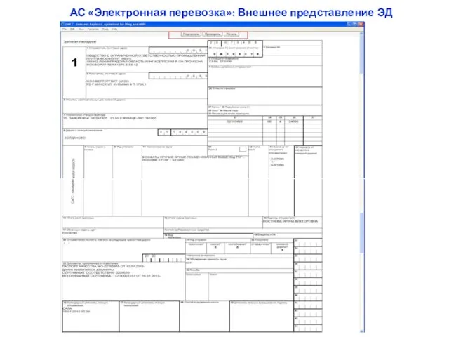 АС «Электронная перевозка»: Внешнее представление ЭД