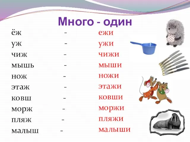 Много - один ёж - уж - чиж - мышь -