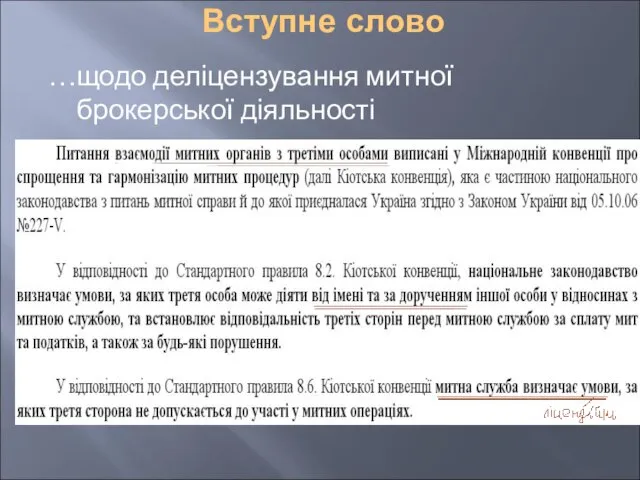 Вступне слово …щодо деліцензування митної брокерської діяльності