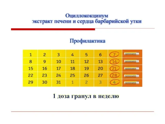 1 доза гранул в неделю Оциллококцинум экстракт печени и сердца барбарийской утки Профилактика