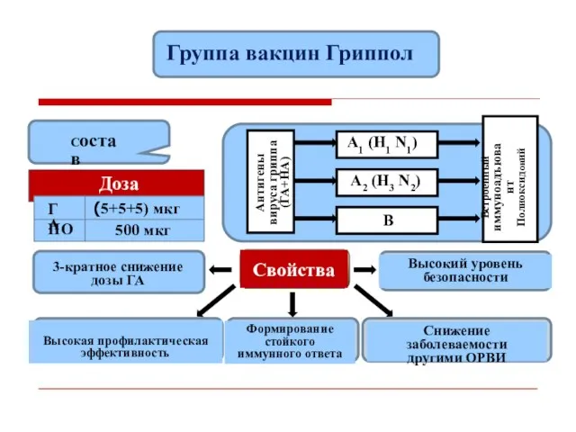 Состав Антигены вируса гриппа (ГА+НА) А2 (Н3 N2) А1 (Н1 N1)