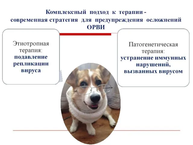 Комплексный подход к терапии - современная стратегия для предупреждения осложнений ОРВИ