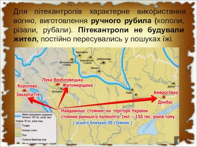 Для пітекантропів характерне використання вогню, виготовлення ручного рубила (кололи, різали, рубали).