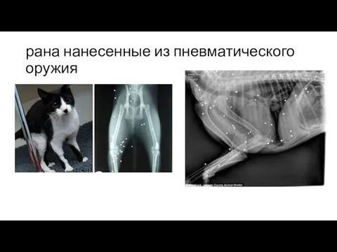 рана нанесенные из пневматического оружия