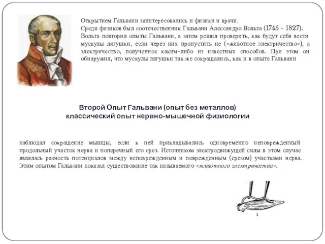 Открытием Гальвани заинтересовались и физики и врачи. Среди физиков был соотечественник