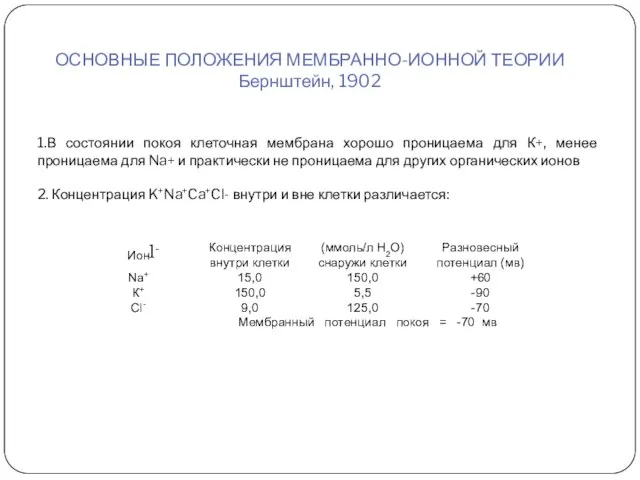 ОСНОВНЫЕ ПОЛОЖЕНИЯ МЕМБРАННО-ИОННОЙ ТЕОРИИ Бернштейн, 1902 1.В состоянии покоя клеточная мембрана