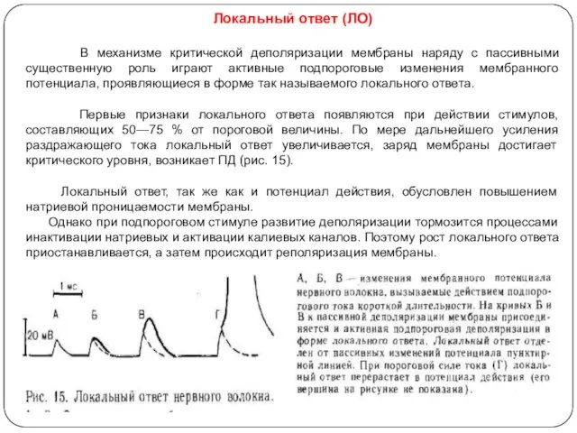 Локальный ответ (ЛО) В механизме критической деполяризации мембраны наряду с пассивными