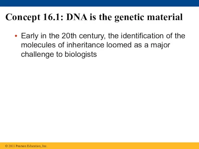 Concept 16.1: DNA is the genetic material Early in the 20th