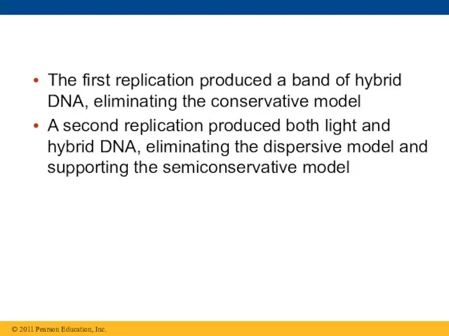 The first replication produced a band of hybrid DNA, eliminating the