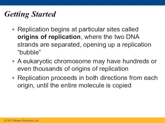 Getting Started Replication begins at particular sites called origins of replication,