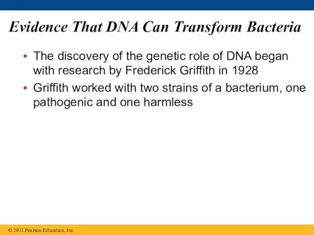 Evidence That DNA Can Transform Bacteria The discovery of the genetic