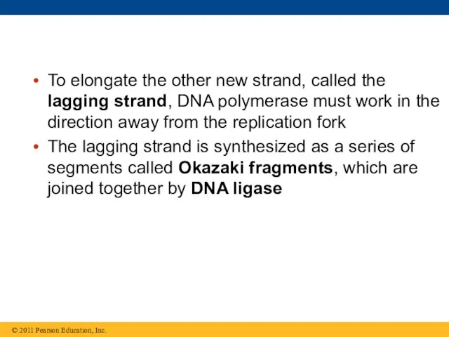 To elongate the other new strand, called the lagging strand, DNA